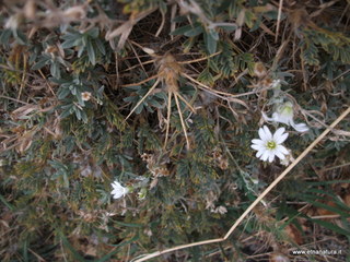 rra delle Concazze-01-01-2009 04-32-02